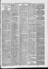 Midhurst and Petworth Observer Saturday 21 January 1893 Page 3