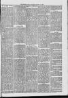 Midhurst and Petworth Observer Saturday 21 January 1893 Page 7