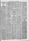 Midhurst and Petworth Observer Saturday 28 January 1893 Page 3
