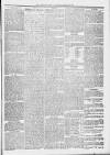 Midhurst and Petworth Observer Saturday 28 January 1893 Page 5