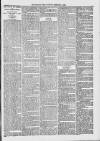 Midhurst and Petworth Observer Saturday 04 February 1893 Page 3