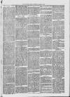 Midhurst and Petworth Observer Saturday 11 March 1893 Page 3