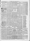 Midhurst and Petworth Observer Saturday 11 March 1893 Page 5