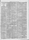 Midhurst and Petworth Observer Saturday 11 March 1893 Page 7