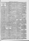 Midhurst and Petworth Observer Saturday 25 March 1893 Page 7