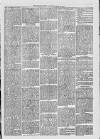 Midhurst and Petworth Observer Saturday 29 April 1893 Page 3