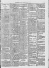 Midhurst and Petworth Observer Saturday 29 April 1893 Page 7