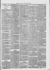 Midhurst and Petworth Observer Saturday 06 May 1893 Page 3