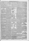 Midhurst and Petworth Observer Saturday 06 May 1893 Page 5