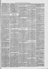 Midhurst and Petworth Observer Saturday 20 May 1893 Page 7