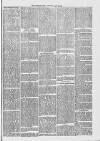 Midhurst and Petworth Observer Saturday 27 May 1893 Page 3