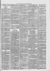 Midhurst and Petworth Observer Saturday 27 May 1893 Page 7