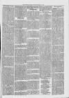 Midhurst and Petworth Observer Saturday 17 June 1893 Page 3