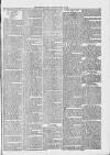 Midhurst and Petworth Observer Saturday 17 June 1893 Page 7