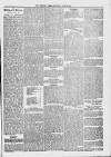 Midhurst and Petworth Observer Saturday 24 June 1893 Page 5