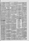 Midhurst and Petworth Observer Saturday 01 July 1893 Page 3