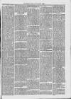 Midhurst and Petworth Observer Saturday 08 July 1893 Page 3