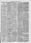 Midhurst and Petworth Observer Saturday 22 July 1893 Page 3