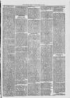 Midhurst and Petworth Observer Saturday 22 July 1893 Page 7