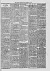 Midhurst and Petworth Observer Saturday 12 August 1893 Page 7