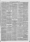 Midhurst and Petworth Observer Saturday 19 August 1893 Page 3