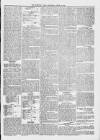 Midhurst and Petworth Observer Saturday 19 August 1893 Page 5