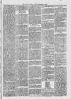Midhurst and Petworth Observer Saturday 02 September 1893 Page 3