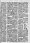 Midhurst and Petworth Observer Saturday 30 September 1893 Page 3