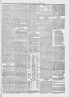 Midhurst and Petworth Observer Saturday 30 September 1893 Page 5