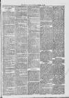 Midhurst and Petworth Observer Saturday 21 October 1893 Page 3