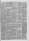 Midhurst and Petworth Observer Saturday 28 October 1893 Page 3