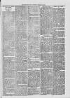 Midhurst and Petworth Observer Saturday 28 October 1893 Page 7