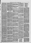 Midhurst and Petworth Observer Saturday 04 November 1893 Page 3