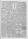 Midhurst and Petworth Observer Saturday 04 November 1893 Page 5