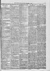 Midhurst and Petworth Observer Saturday 18 November 1893 Page 7