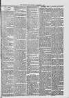 Midhurst and Petworth Observer Saturday 25 November 1893 Page 3