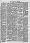 Midhurst and Petworth Observer Saturday 25 November 1893 Page 7