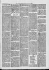 Midhurst and Petworth Observer Saturday 09 December 1893 Page 3