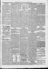 Midhurst and Petworth Observer Saturday 09 December 1893 Page 5