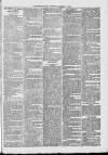 Midhurst and Petworth Observer Saturday 09 December 1893 Page 7