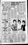Newtownabbey Times and East Antrim Times Thursday 30 July 1987 Page 13