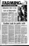 Newtownabbey Times and East Antrim Times Thursday 17 September 1987 Page 17
