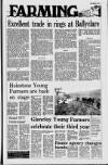 Newtownabbey Times and East Antrim Times Thursday 04 February 1988 Page 17