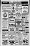 Newtownabbey Times and East Antrim Times Thursday 10 March 1988 Page 33