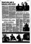 Newtownabbey Times and East Antrim Times Thursday 13 April 1989 Page 31
