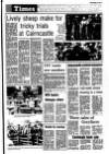 Newtownabbey Times and East Antrim Times Thursday 14 September 1989 Page 19