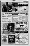Newtownabbey Times and East Antrim Times Thursday 07 May 1992 Page 25