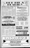 Newtownabbey Times and East Antrim Times Thursday 02 September 1993 Page 19