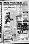 Newtownabbey Times and East Antrim Times Thursday 30 September 1993 Page 33