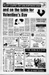 Newtownabbey Times and East Antrim Times Thursday 01 February 1996 Page 17